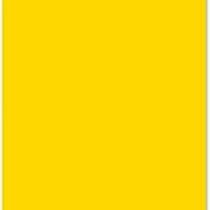 CENTURY PAPER -YELLOW(1PC)