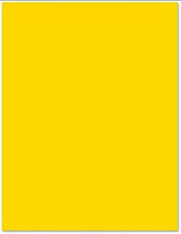 CENTURY PAPER -YELLOW(1PC)