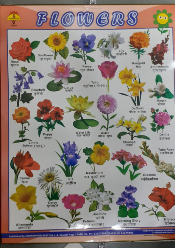 BIG TIN BOUND WALL CHART FLOWERS-UNITED (22"×28")